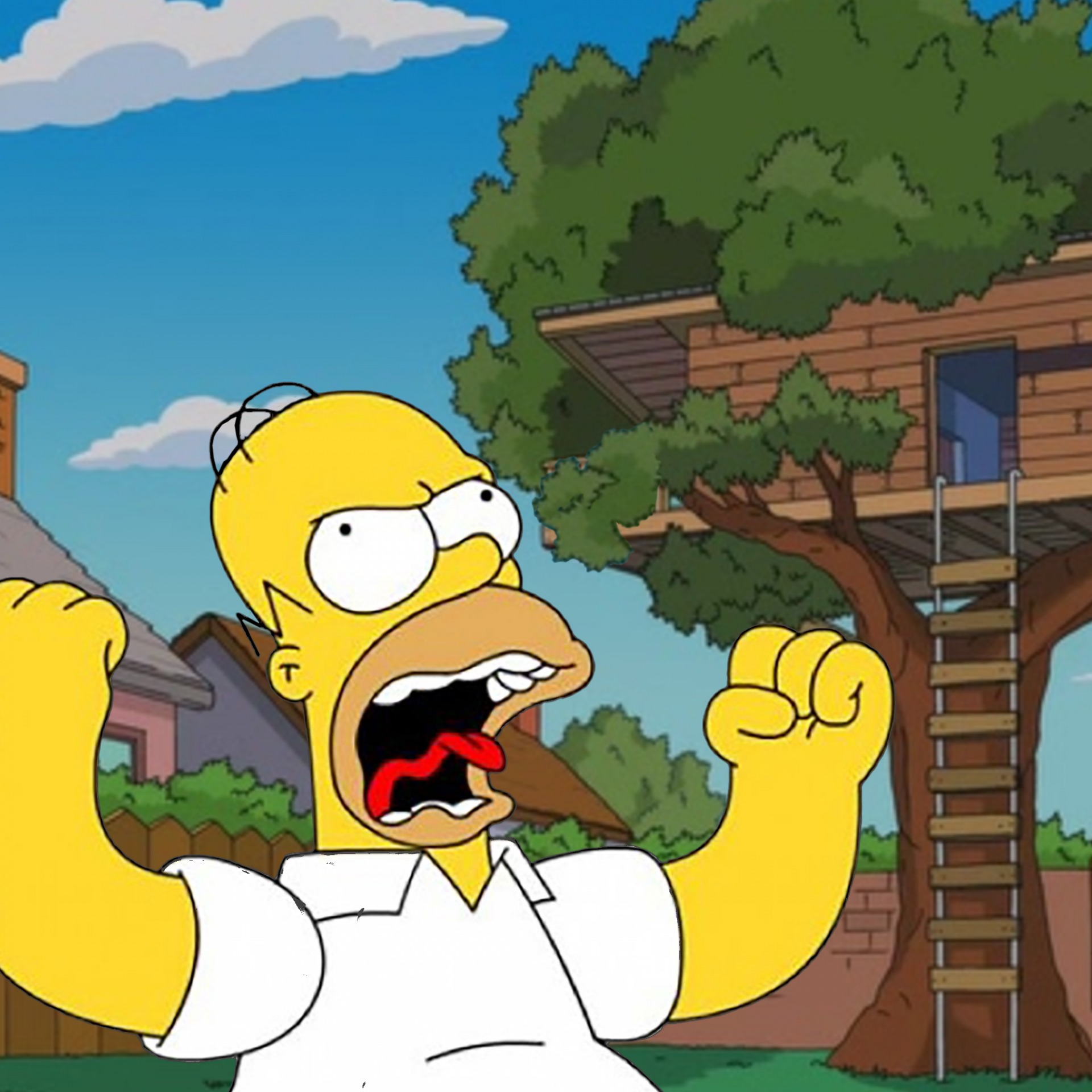 Homer at home Blank Meme Template