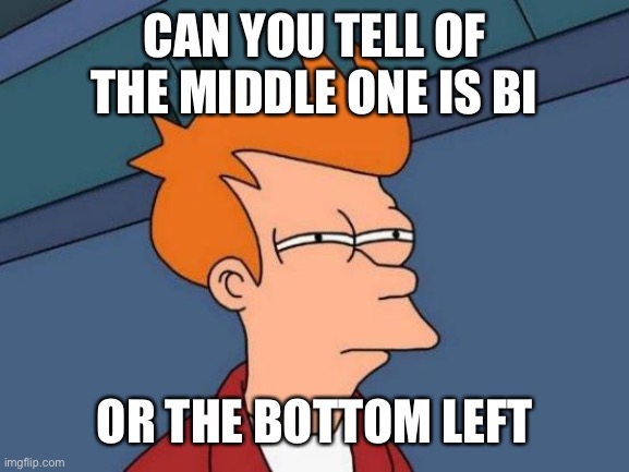 Futurama Fry Meme | CAN YOU TELL OF THE MIDDLE ONE IS BI OR THE BOTTOM LEFT | image tagged in memes,futurama fry | made w/ Imgflip meme maker