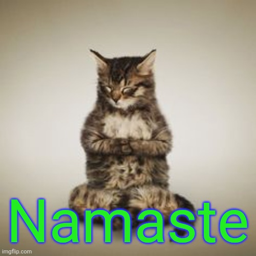 Cat Namaste | Namaste | image tagged in cat namaste | made w/ Imgflip meme maker