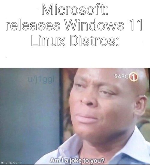 Microsoft is trying to make their windows systems look like linux but paid | Microsoft: releases Windows 11
Linux Distros: | image tagged in am i a joke to you | made w/ Imgflip meme maker