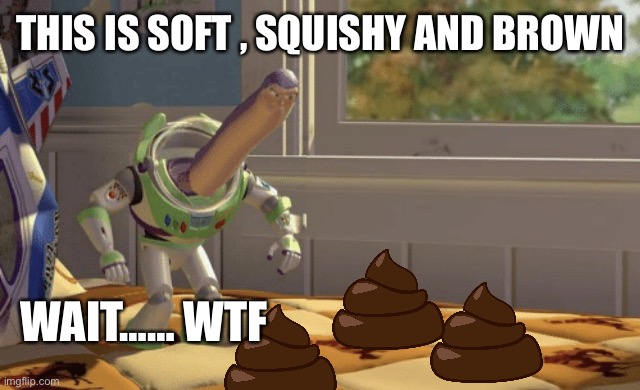 Brown | THIS IS SOFT , SQUISHY AND BROWN; WAIT…… WTF | image tagged in hmm yes | made w/ Imgflip meme maker