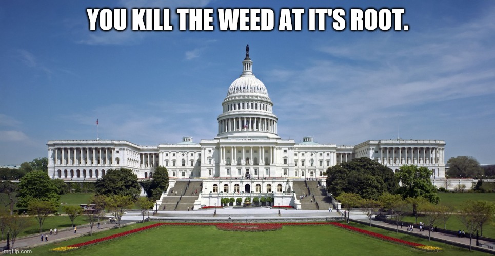 Every crisis was manufactured right here. | YOU KILL THE WEED AT IT'S ROOT. | image tagged in memes | made w/ Imgflip meme maker