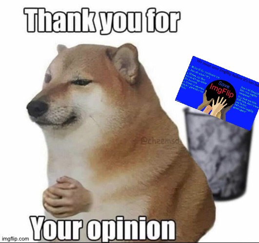 Thank you for your opinion | image tagged in thank you for your opinion | made w/ Imgflip meme maker