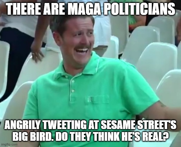 Green Shirt Guy | THERE ARE MAGA POLITICIANS; ANGRILY TWEETING AT SESAME STREET'S BIG BIRD. DO THEY THINK HE'S REAL? | image tagged in green shirt guy | made w/ Imgflip meme maker