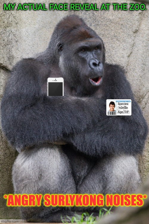 Face reveal! | MY ACTUAL FACE REVEAL AT THE ZOO. Species: human
Age "18"; *ANGRY SURLYKONG NOISES* | image tagged in thanks,to,all my fans,lol,monkee | made w/ Imgflip meme maker