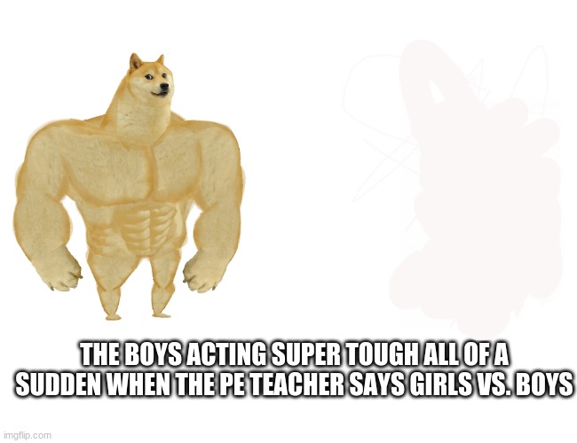 When the PE teacher says girls vs. boys | THE BOYS ACTING SUPER TOUGH ALL OF A SUDDEN WHEN THE PE TEACHER SAYS GIRLS VS. BOYS | image tagged in memes,buff doge vs cheems | made w/ Imgflip meme maker