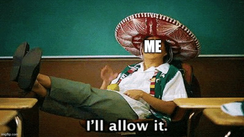 Ill allow it | ME | image tagged in ill allow it | made w/ Imgflip meme maker