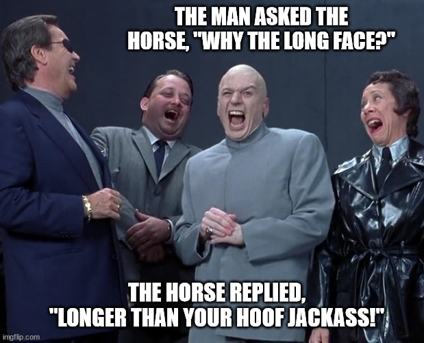 Horsing Around | THE MAN ASKED THE HORSE, "WHY THE LONG FACE?"; THE HORSE REPLIED, "LONGER THAN YOUR HOOF JACKASS!" | image tagged in the horse whisperer,shenanigans in the barn,an unstable response | made w/ Imgflip meme maker