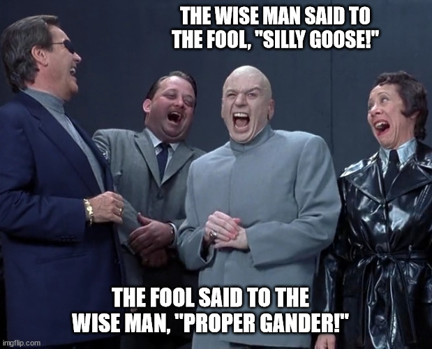 An Unfoolish Pun | THE WISE MAN SAID TO THE FOOL, "SILLY GOOSE!"; THE FOOL SAID TO THE WISE MAN, "PROPER GANDER!" | image tagged in rebutting from the butt,the wise vs the fool,wisdom from outta hickville | made w/ Imgflip meme maker