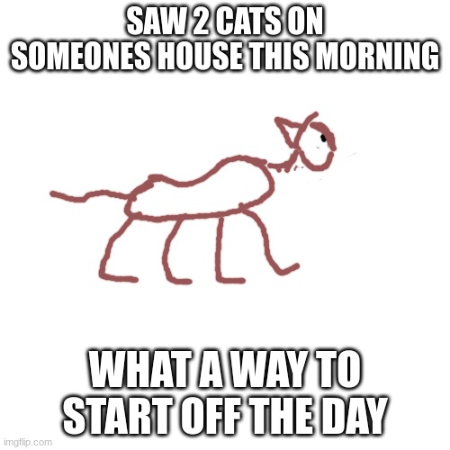Like my drawing? | SAW 2 CATS ON SOMEONES HOUSE THIS MORNING; WHAT A WAY TO START OFF THE DAY | image tagged in memes,blank transparent square | made w/ Imgflip meme maker