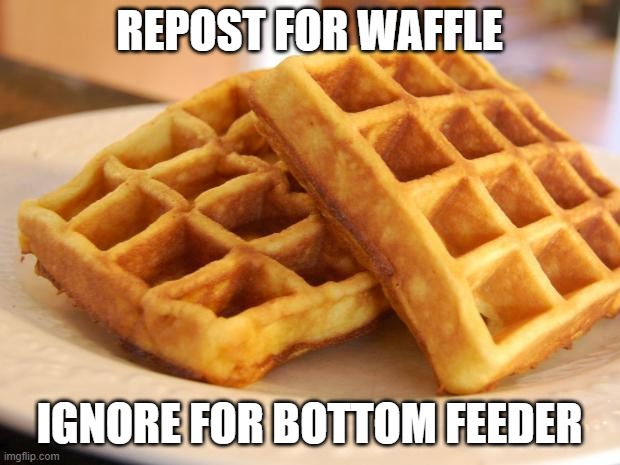 Essay Waffle | REPOST FOR WAFFLE; IGNORE FOR BOTTOM FEEDER | image tagged in essay waffle | made w/ Imgflip meme maker