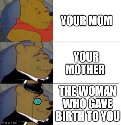Tuxedo Winnie the Pooh (3 panel) | YOUR MOM YOUR MOTHER THE WOMAN WHO GAVE BIRTH TO YOU | image tagged in tuxedo winnie the pooh 3 panel | made w/ Imgflip meme maker