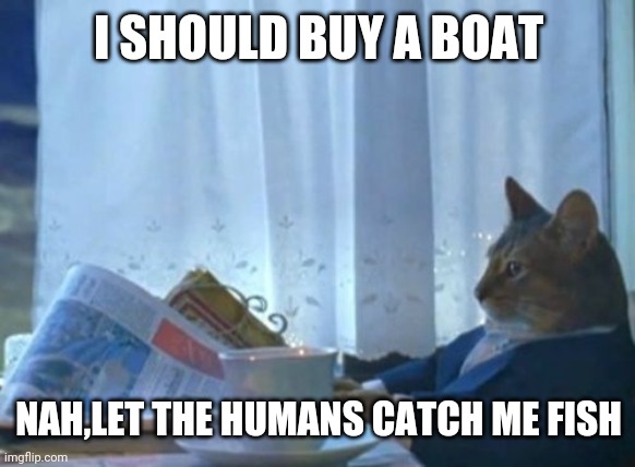 I Should Buy A Boat Cat | I SHOULD BUY A BOAT; NAH,LET THE HUMANS CATCH ME FISH | image tagged in memes,i should buy a boat cat | made w/ Imgflip meme maker
