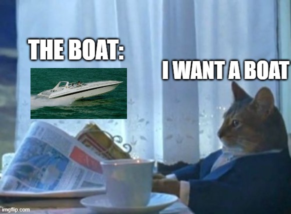 BOAT | THE BOAT:; I WANT A BOAT | image tagged in memes,i should buy a boat cat,cat,boat | made w/ Imgflip meme maker