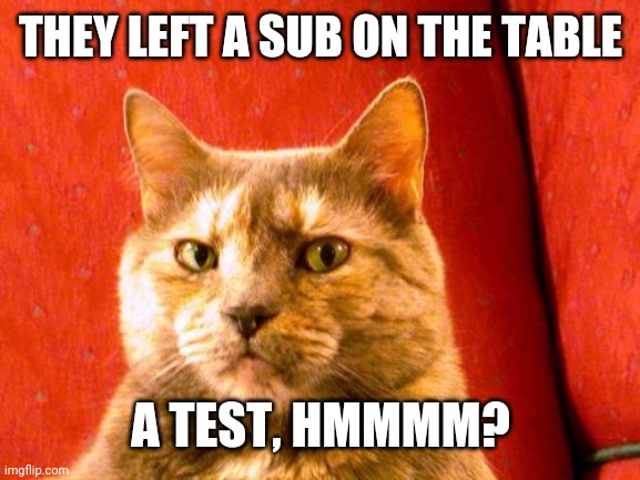 Suspicious Cat | THEY LEFT A SUB ON THE TABLE; A TEST, HMMMM? | image tagged in memes,suspicious cat | made w/ Imgflip meme maker