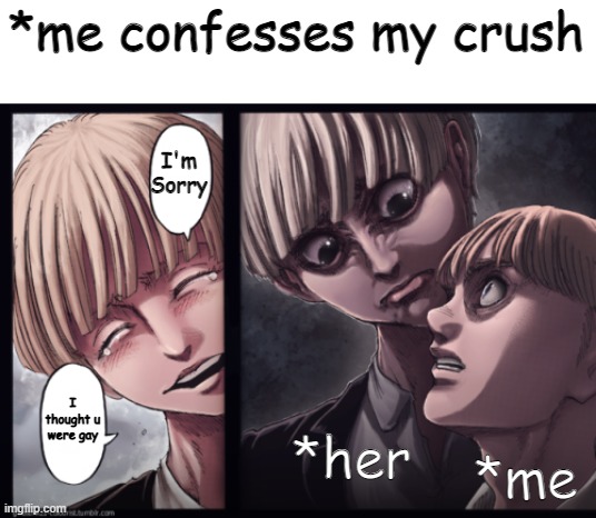 *feels like slapping | *me confesses my crush; I'm Sorry; I thought u were gay; *her; *me | image tagged in attack on titan,memes | made w/ Imgflip meme maker