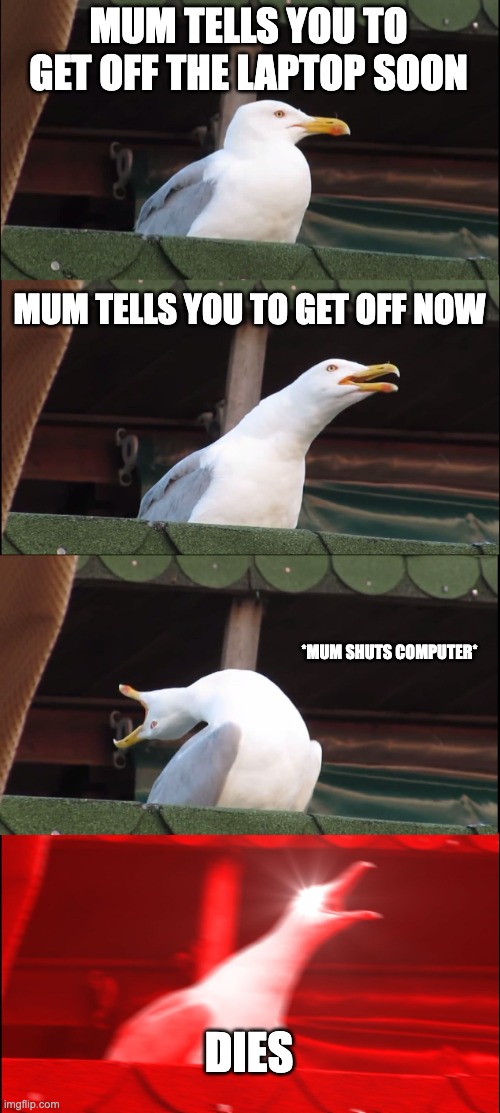 Inhaling Seagull | MUM TELLS YOU TO GET OFF THE LAPTOP SOON; MUM TELLS YOU TO GET OFF NOW; *MUM SHUTS COMPUTER*; DIES | image tagged in memes,inhaling seagull | made w/ Imgflip meme maker