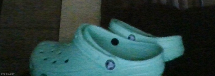 me new crocs | made w/ Imgflip meme maker