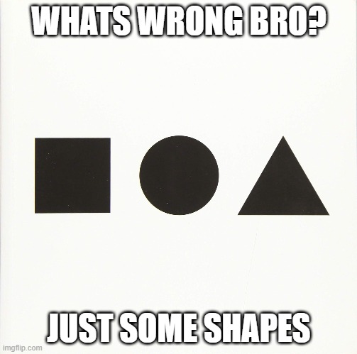 squi- | WHATS WRONG BRO? JUST SOME SHAPES | image tagged in memes | made w/ Imgflip meme maker