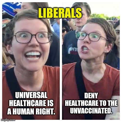 Hypocrites. | LIBERALS; DENY HEALTHCARE TO THE UNVACCINATED. UNIVERSAL HEALTHCARE IS A HUMAN RIGHT. | image tagged in memes | made w/ Imgflip meme maker