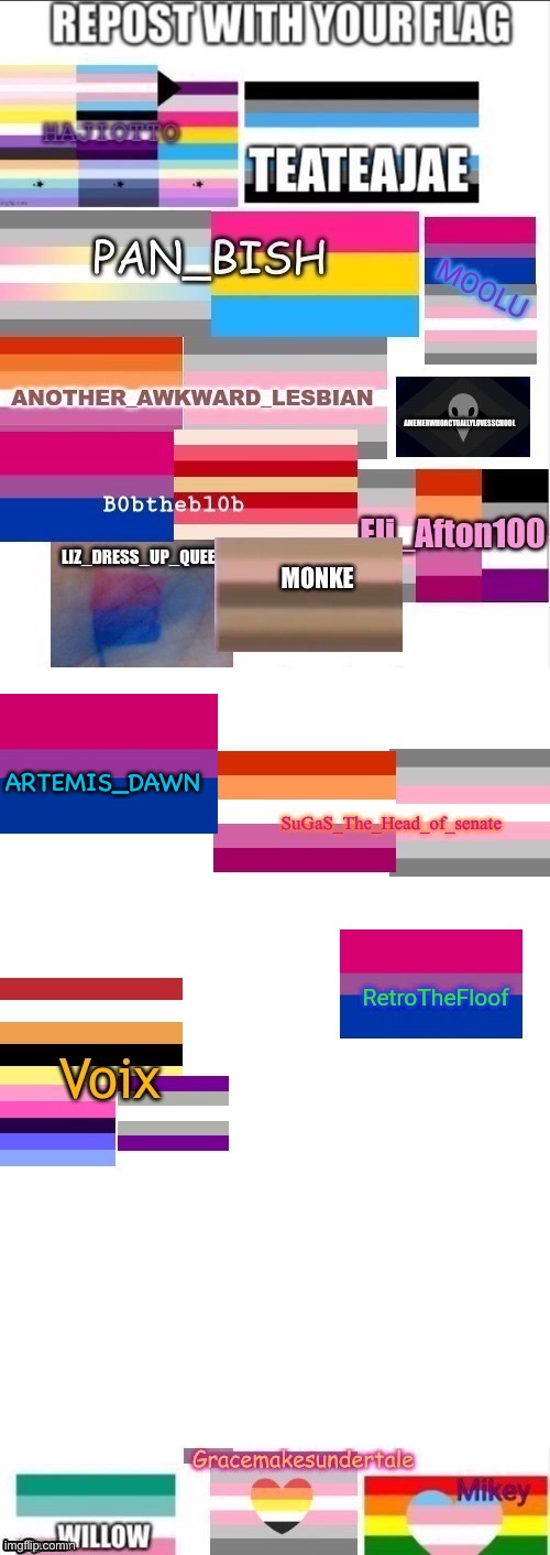 Mine | ARTEMIS_DAWN | image tagged in gay pride,flags,personality | made w/ Imgflip meme maker