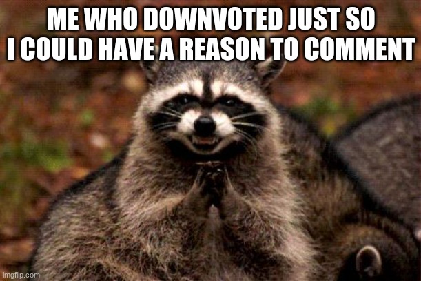 Evil Plotting Raccoon Meme | ME WHO DOWNVOTED JUST SO I COULD HAVE A REASON TO COMMENT | image tagged in memes,evil plotting raccoon | made w/ Imgflip meme maker