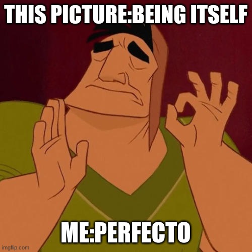 When X just right | THIS PICTURE:BEING ITSELF ME:PERFECTO | image tagged in when x just right | made w/ Imgflip meme maker