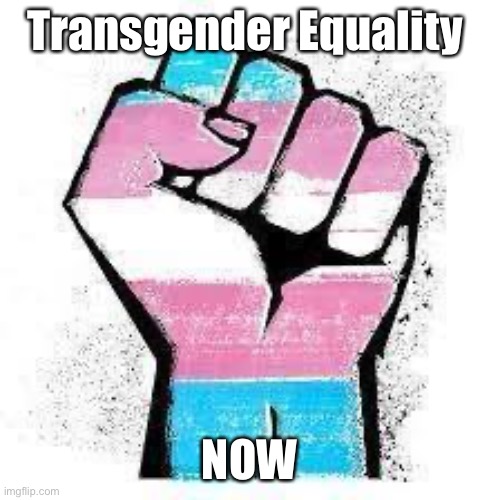 Just Trynna Make A Point… | Transgender Equality; NOW | image tagged in transgender equality now | made w/ Imgflip meme maker