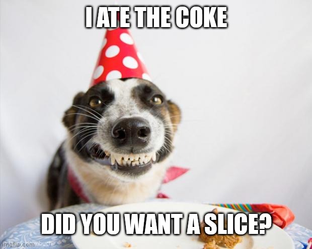 birthday dog | I ATE THE COKE; DID YOU WANT A SLICE? | image tagged in birthday dog | made w/ Imgflip meme maker