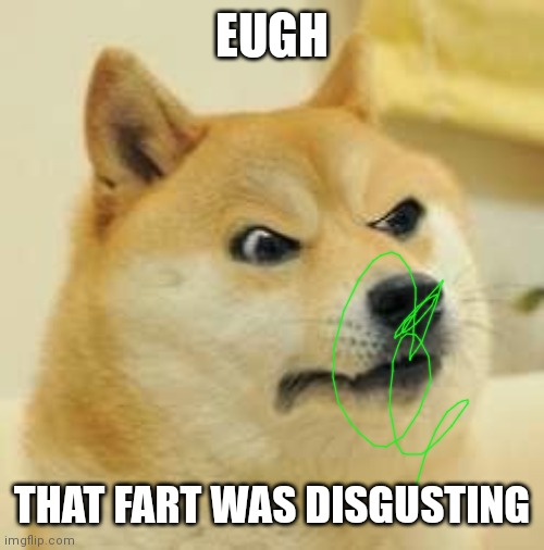 angry doge | EUGH; THAT FART WAS DISGUSTING | image tagged in angry doge | made w/ Imgflip meme maker