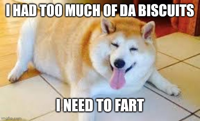 Fat doggo | I HAD TOO MUCH OF DA BISCUITS; I NEED TO FART | image tagged in thicc doggo | made w/ Imgflip meme maker