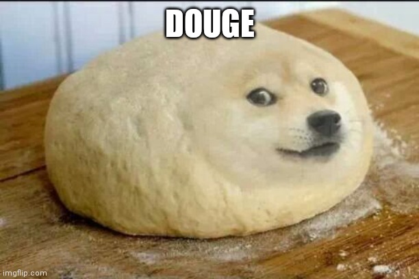 dough doge | DOUGE | image tagged in dough doge | made w/ Imgflip meme maker