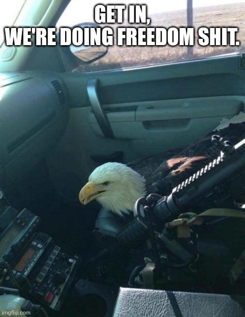 GET IN,
WE'RE DOING FREEDOM SHIT. | made w/ Imgflip meme maker