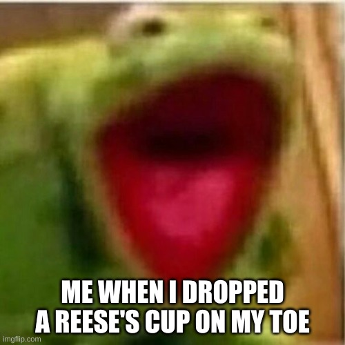 The most random thing ever, but hey, why not? | ME WHEN I DROPPED A REESE'S CUP ON MY TOE | image tagged in ahhhhhhhhhhhhh,memes | made w/ Imgflip meme maker