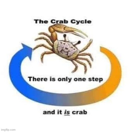 crab cycle | made w/ Imgflip meme maker