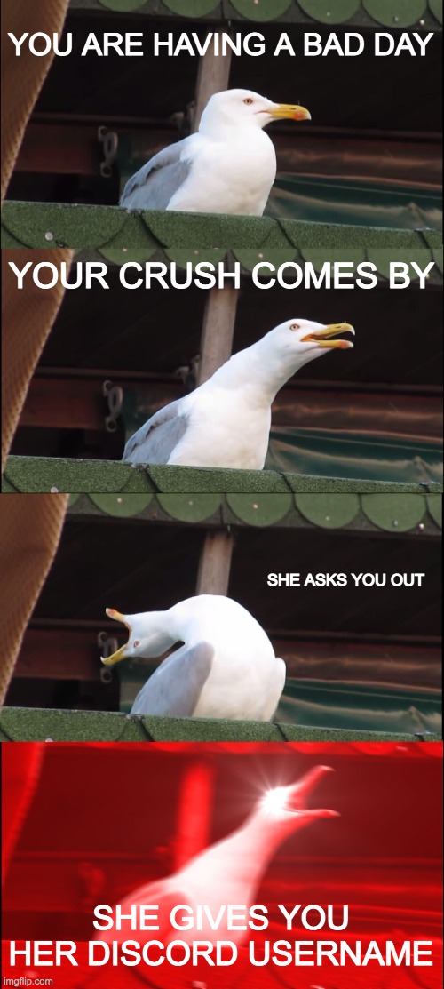My alarm clock | YOU ARE HAVING A BAD DAY; YOUR CRUSH COMES BY; SHE ASKS YOU OUT; SHE GIVES YOU HER DISCORD USERNAME | image tagged in memes,inhaling seagull | made w/ Imgflip meme maker