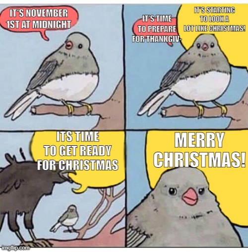 Don't forget about thanksgiving |  IT'S STARTING TO LOOK A LOT LIKE CHRISTMAS! IT'S NOVEMBER 1ST AT MIDNIGHT; IT'S TIME TO PREPARE FOR THANKGIV-; ITS TIME TO GET READY FOR CHRISTMAS; MERRY CHRISTMAS! | image tagged in annoyed bird,thanksgiving,christmas,november,too early | made w/ Imgflip meme maker