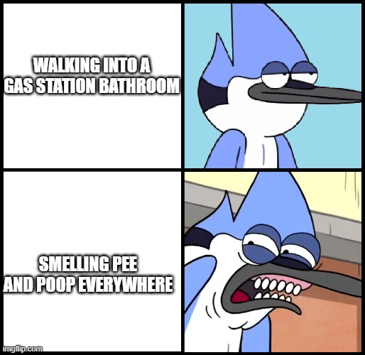 Disgusting bathroom | WALKING INTO A GAS STATION BATHROOM; SMELLING PEE AND POOP EVERYWHERE | image tagged in mordecai disgusted | made w/ Imgflip meme maker