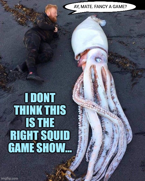 Squid Lame | AY, MATE. FANCY A GAME? I DONT THINK THIS IS THE RIGHT SQUID GAME SHOW... | image tagged in squid game,squid,games,stupid memes | made w/ Imgflip meme maker