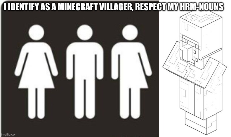 Hrm | I IDENTIFY AS A MINECRAFT VILLAGER, RESPECT MY HRM-NOUNS | image tagged in minecraft,villager,minecraft villagers,gender | made w/ Imgflip meme maker