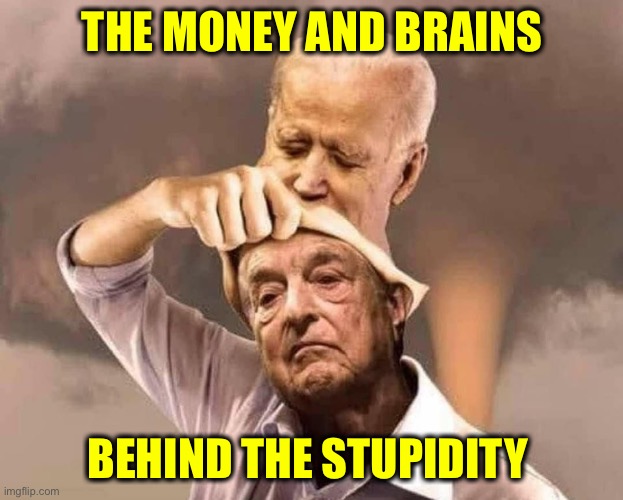 Joe Soros | THE MONEY AND BRAINS BEHIND THE STUPIDITY | image tagged in joe soros | made w/ Imgflip meme maker