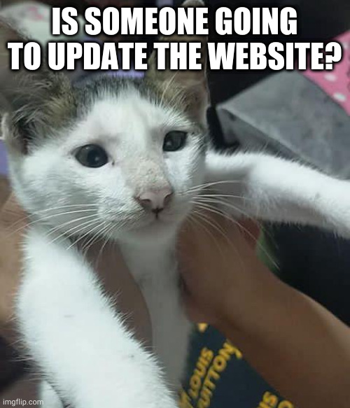 fafa | IS SOMEONE GOING TO UPDATE THE WEBSITE? | image tagged in fafa | made w/ Imgflip meme maker