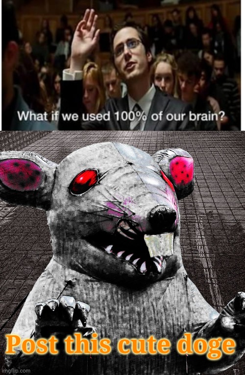 This is huge brain time! | Post this cute doge | image tagged in yeah this is big brain time,100 percent,brain,post this dog | made w/ Imgflip meme maker