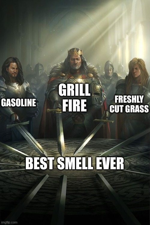 *sniff* ahh nice. | GRILL FIRE; GASOLINE; FRESHLY CUT GRASS; BEST SMELL EVER | image tagged in knights of the round table,memes,funny | made w/ Imgflip meme maker