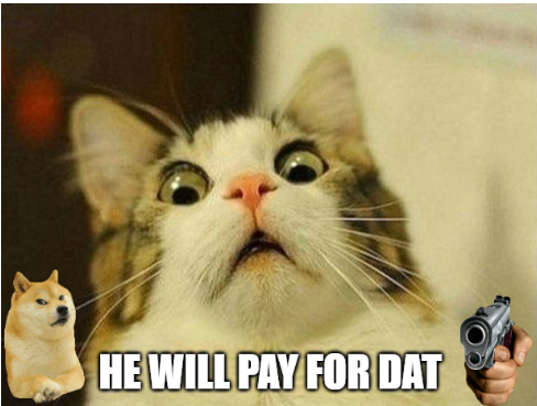 cat Blank Meme Template