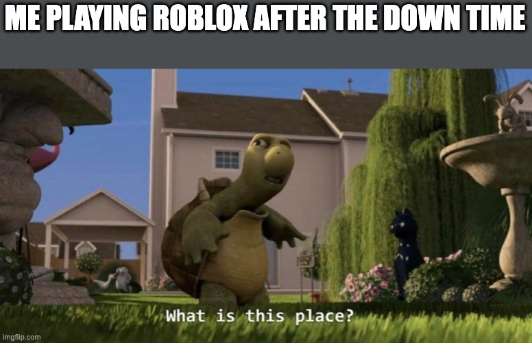 Roblox | ME PLAYING ROBLOX AFTER THE DOWN TIME | image tagged in what is this place | made w/ Imgflip meme maker