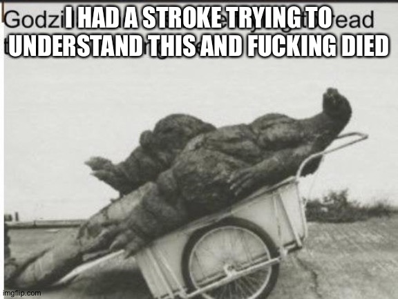 Godzilla | I HAD A STROKE TRYING TO UNDERSTAND THIS AND FUCKING DIED | image tagged in godzilla | made w/ Imgflip meme maker