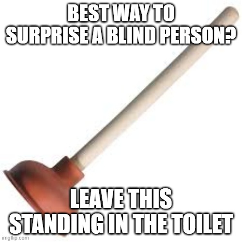 didn't See that Coming | BEST WAY TO SURPRISE A BLIND PERSON? LEAVE THIS STANDING IN THE TOILET | image tagged in plunger | made w/ Imgflip meme maker