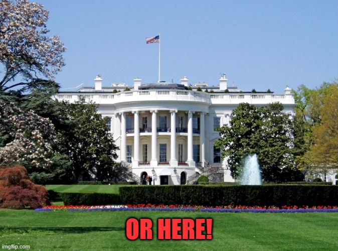White House | OR HERE! | image tagged in white house | made w/ Imgflip meme maker