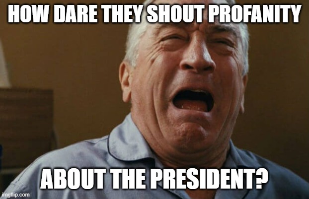 deniro crying | HOW DARE THEY SHOUT PROFANITY; ABOUT THE PRESIDENT? | image tagged in deniro crying | made w/ Imgflip meme maker